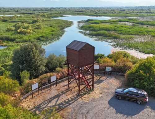 Shkodra See