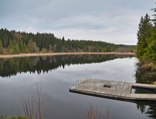 Tannermoor