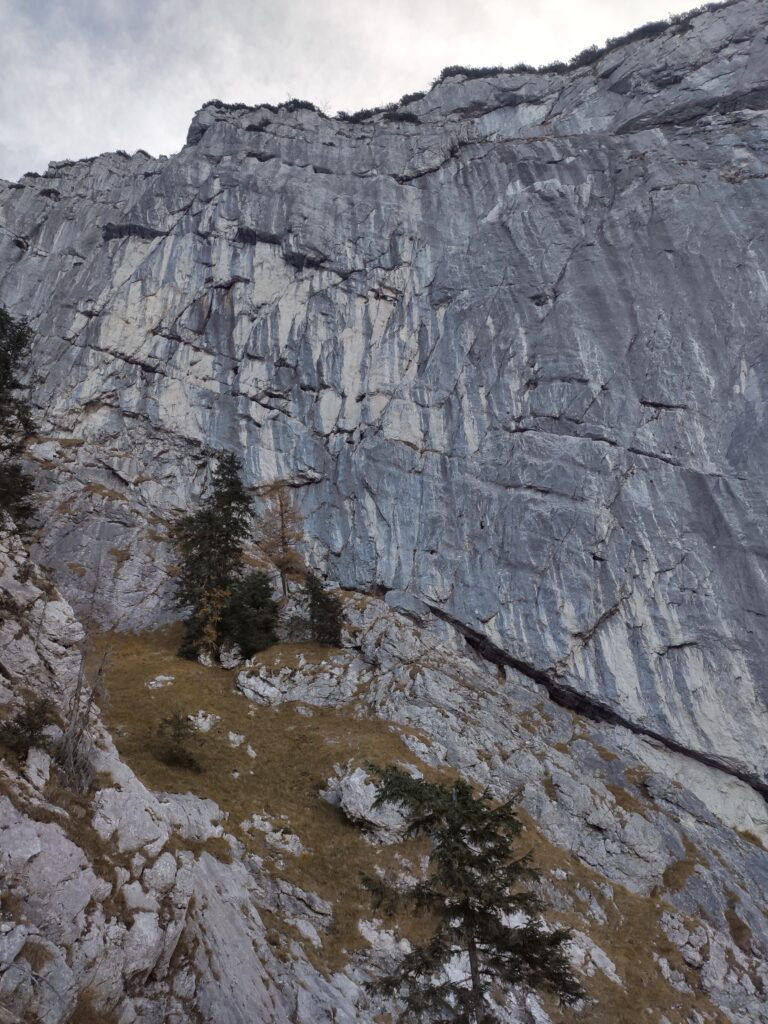 Brennerin, Austria, Travel Drift