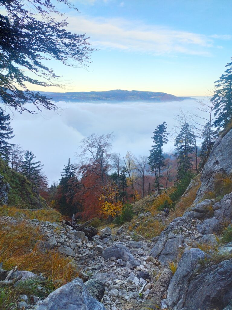 Brennerin, Austria, Travel Drift